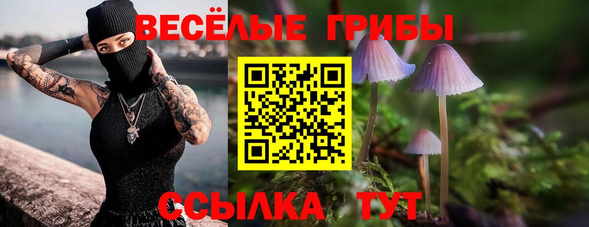 Псилоцибиновые грибы MAGIC MUSHROOMS Сокол